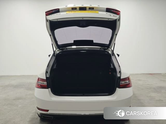 Skoda Speed pie id 4212782 из Китая 10