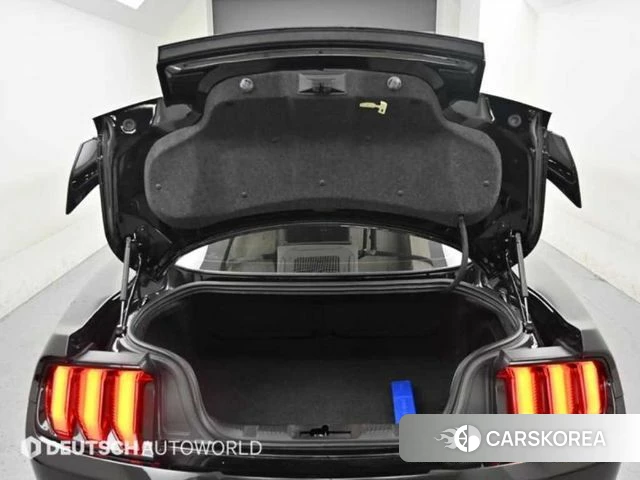 Ford Mustang id 3859392 из Кореи 10