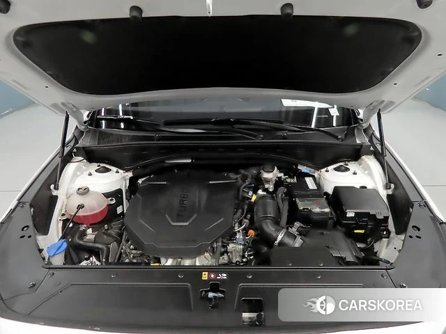 Hyundai The New Santa Fe id 4249297 из Кореи 10