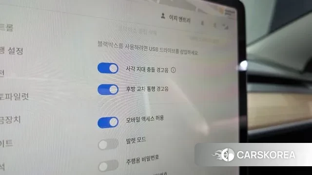 Tesla Model 3 id 3660550 из Кореи 10