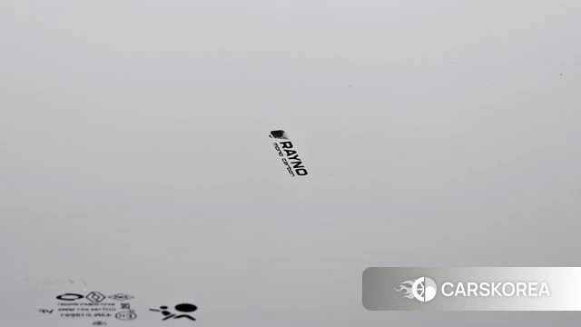 Renault Korea (Samsung) XM3 id 4223141 из Кореи 10