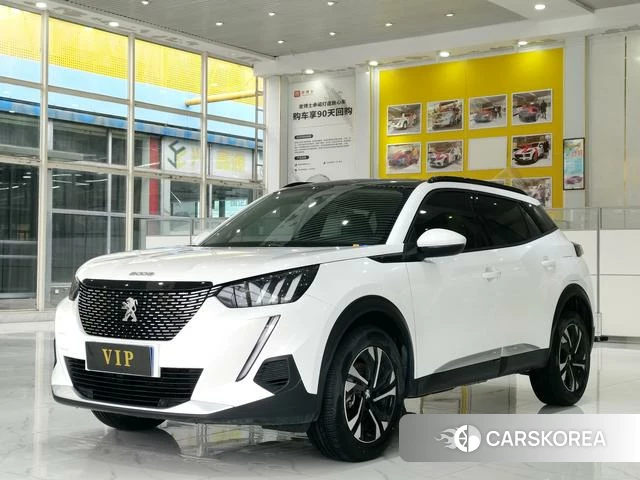 Peugeot 2008 id 3919268 из Китая 10