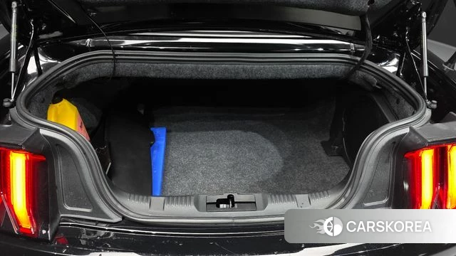 Ford Mustang id 3899495 из Кореи 10