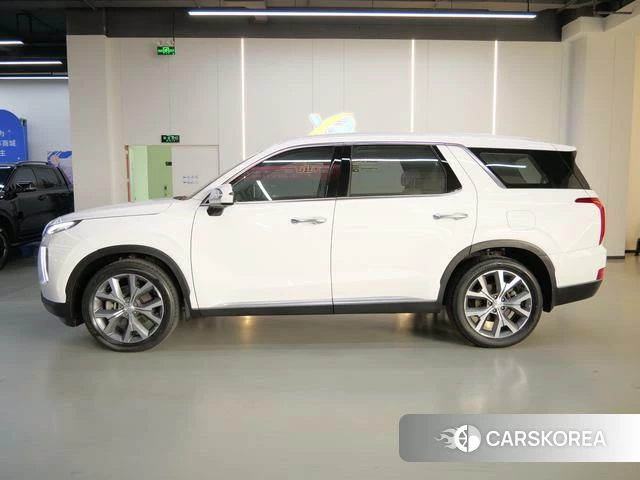 Hyundai Paristi id 4374630 из Китая 10