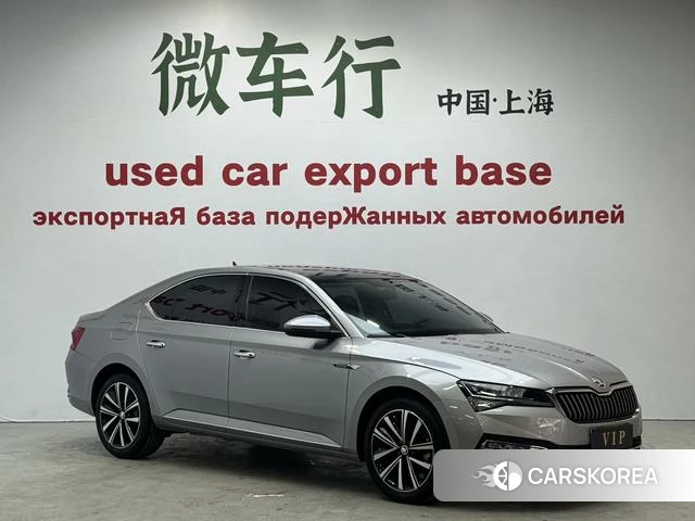 Skoda Speed pie id 4239098 из Китая 10