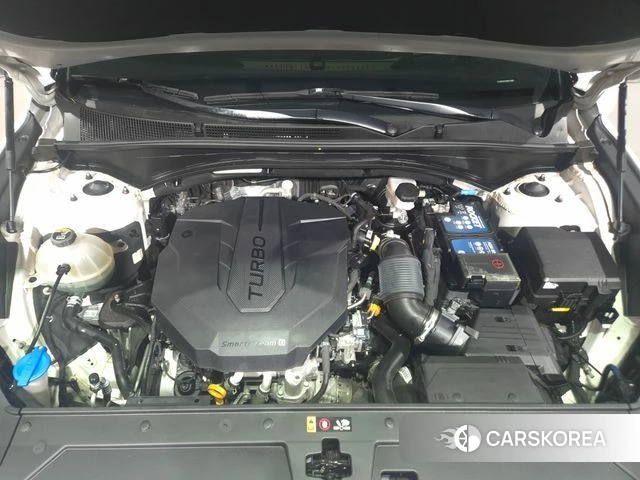 Hyundai The New Santa Fe id 3916602 из Кореи 10