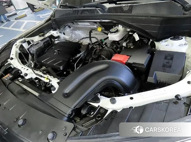 Chevrolet (GM Daewoo) Trailblazer id 3669101 из Кореи 10