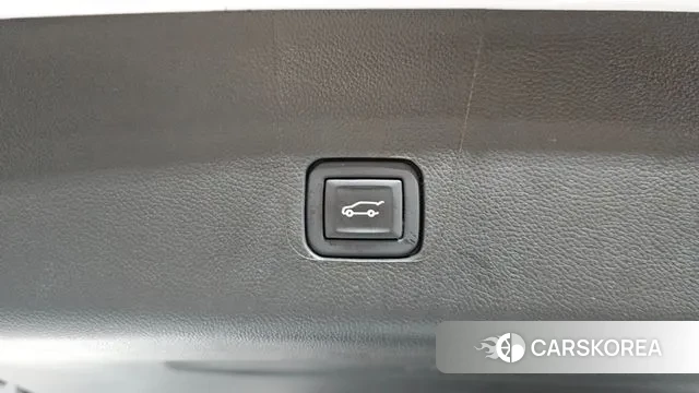 Chevrolet (GM Daewoo) Traverse id 3711632 из Кореи 10