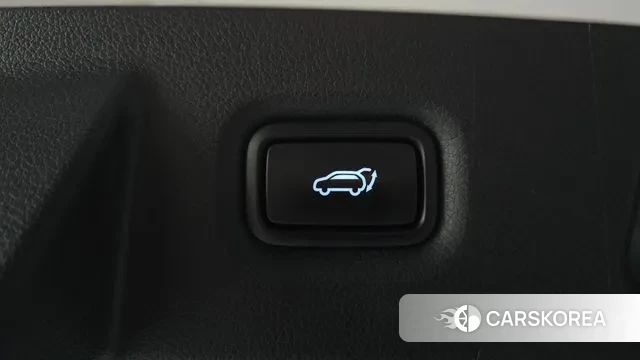 Hyundai Santa Fe TM id 3588465 из Кореи 10