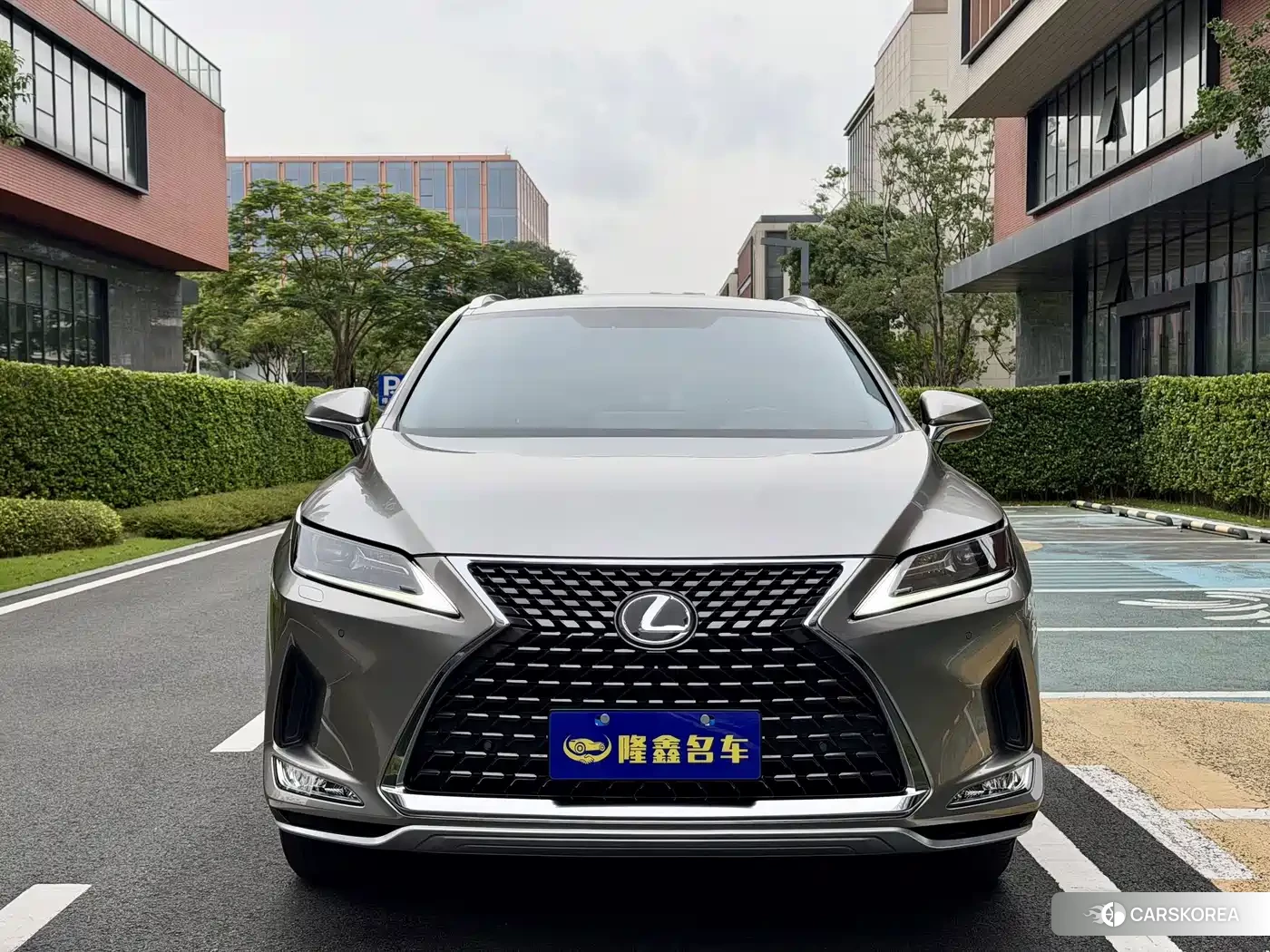 Lexus RX id 4622533 из Китая 10