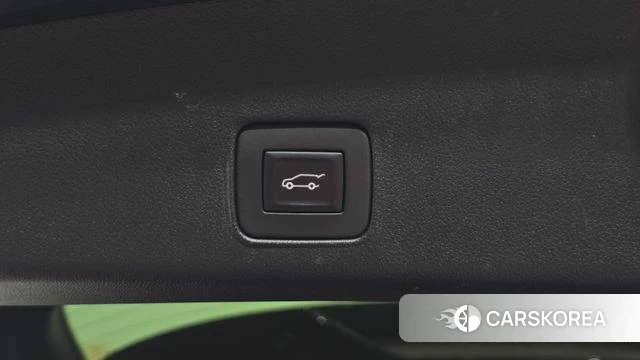 Chevrolet (GM Daewoo) Trailblazer id 4657070 из Кореи 10