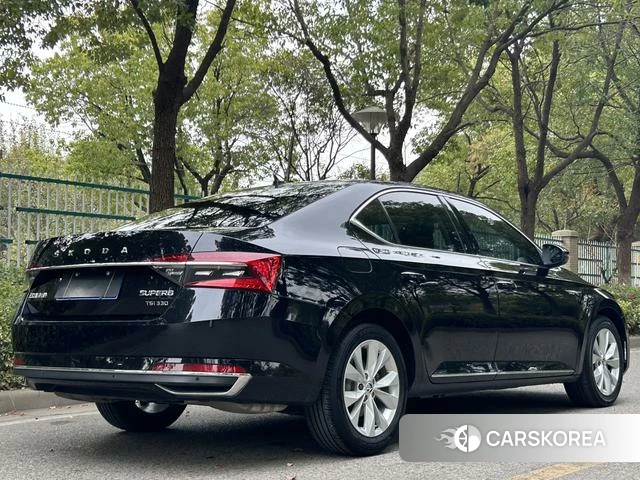 Skoda Speed pie id 4221421 из Китая 10