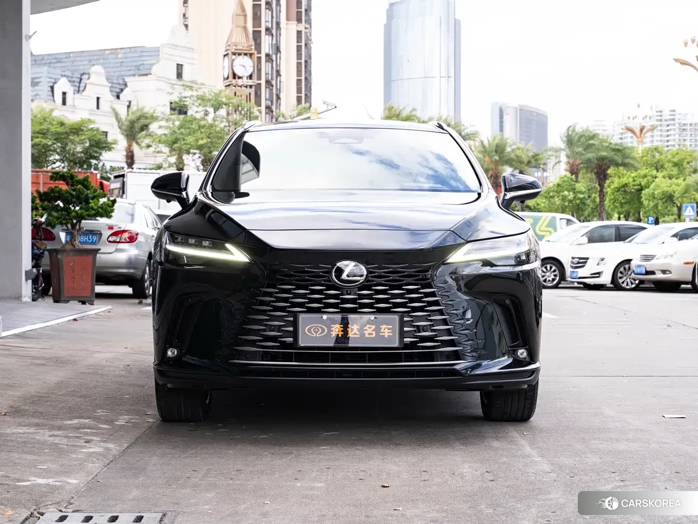 Lexus RX id 4545744 из Китая 10