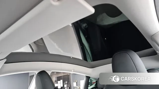 Tesla Model Y id 3585695 из Кореи 10