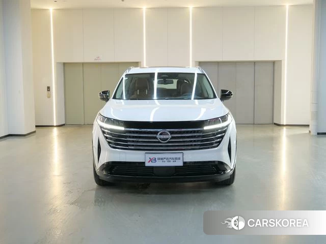 Nissan Exploring the land id 4279392 из Китая 10