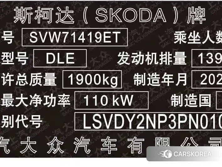 Skoda Speed pie id 4538812 из Китая 10