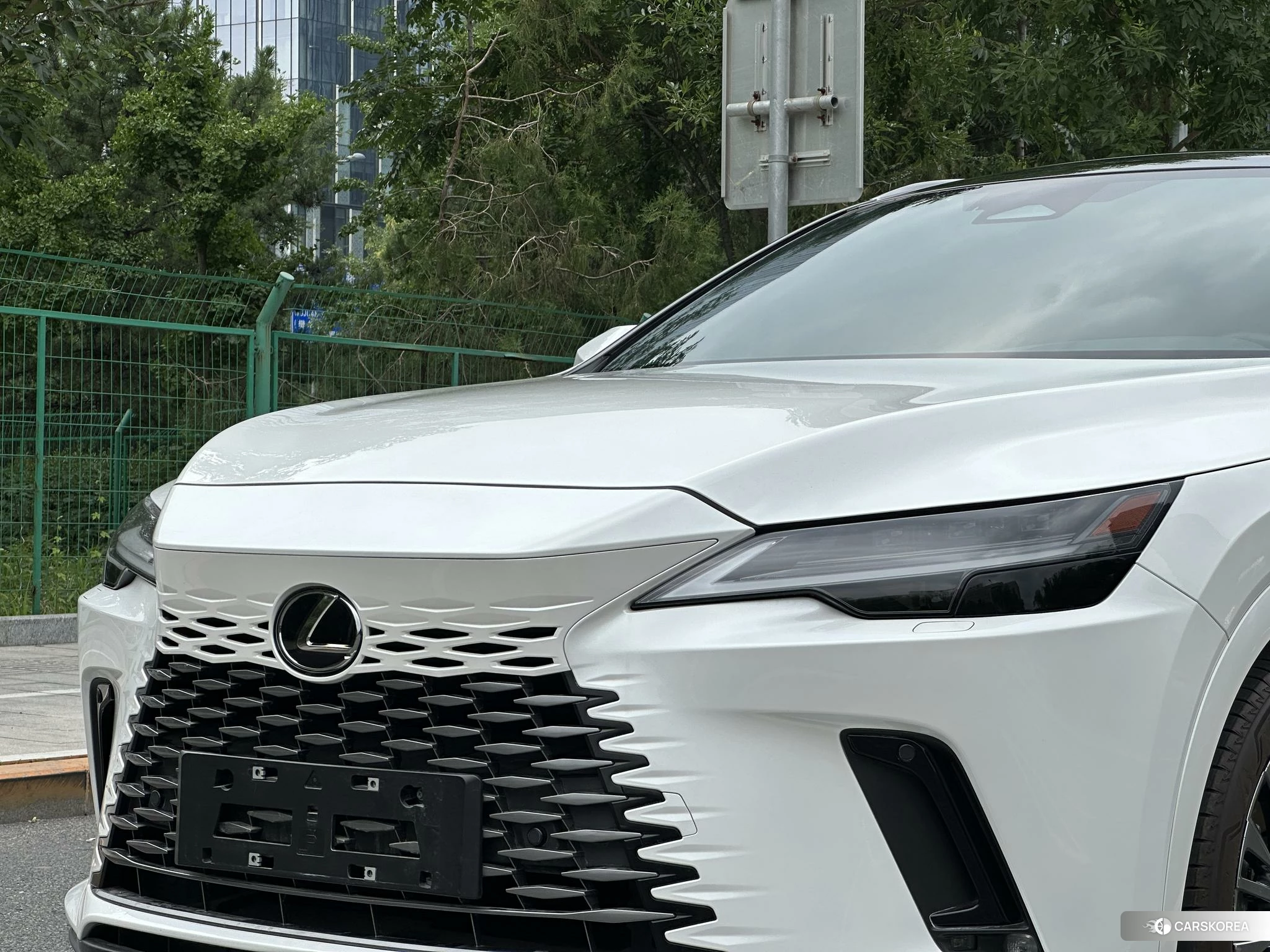 Lexus RX PHEV id 4515268 из Китая 10