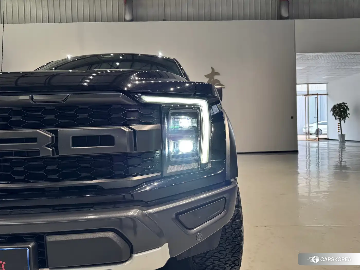 Ford F-150 id 4622563 из Китая 10