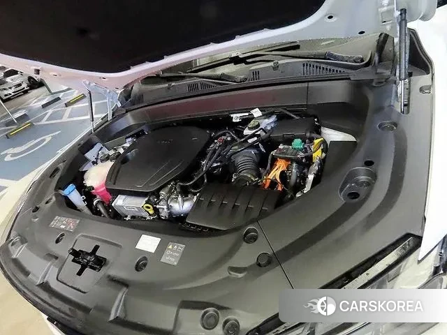 Renault Korea (Samsung) Grand Coleos id 3720777 из Кореи 10