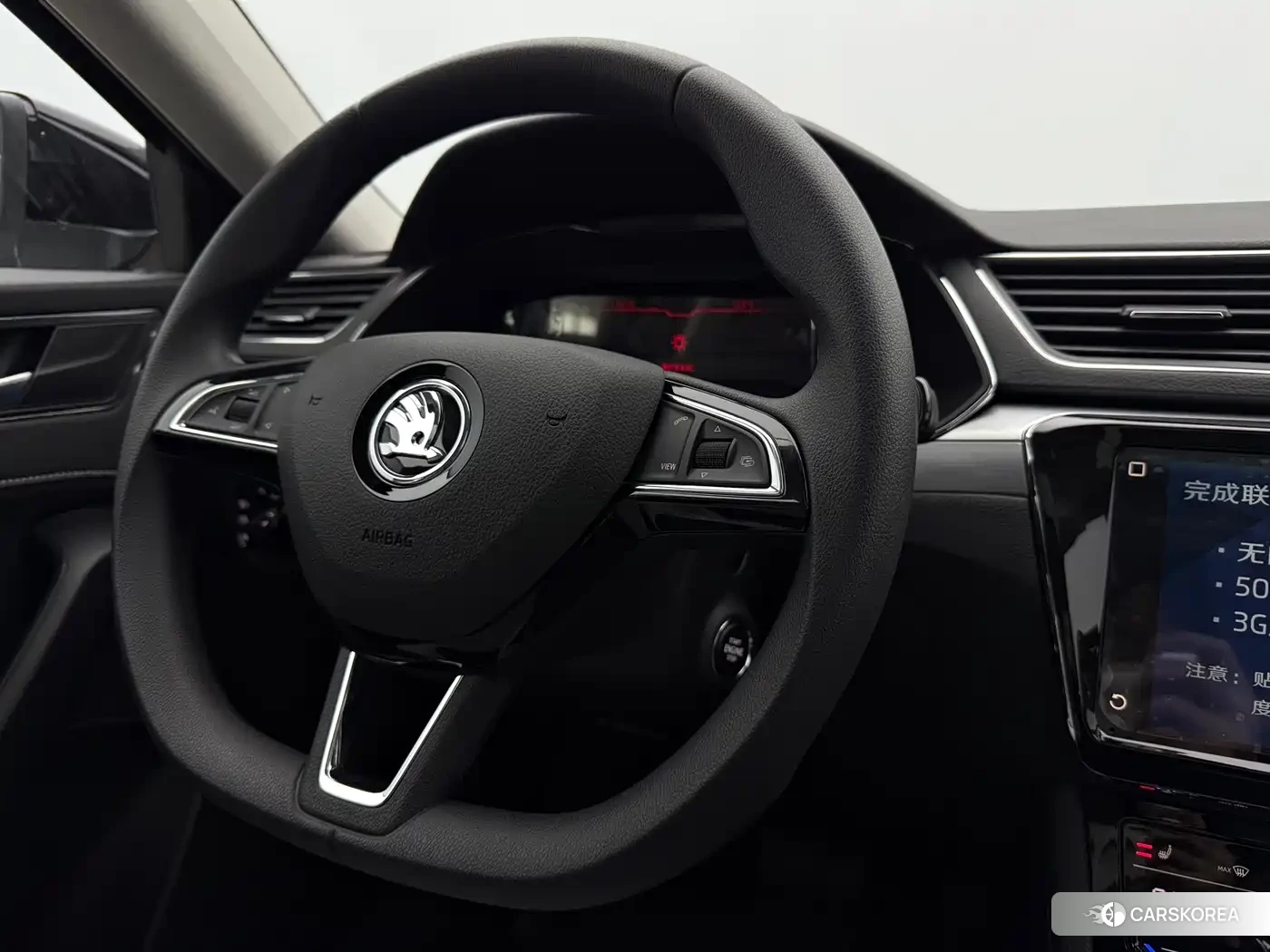 Skoda Speed pie id 4538744 из Китая 10