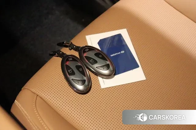 Hyundai Santa Fe (MX5) id 3316562 из Кореи 10