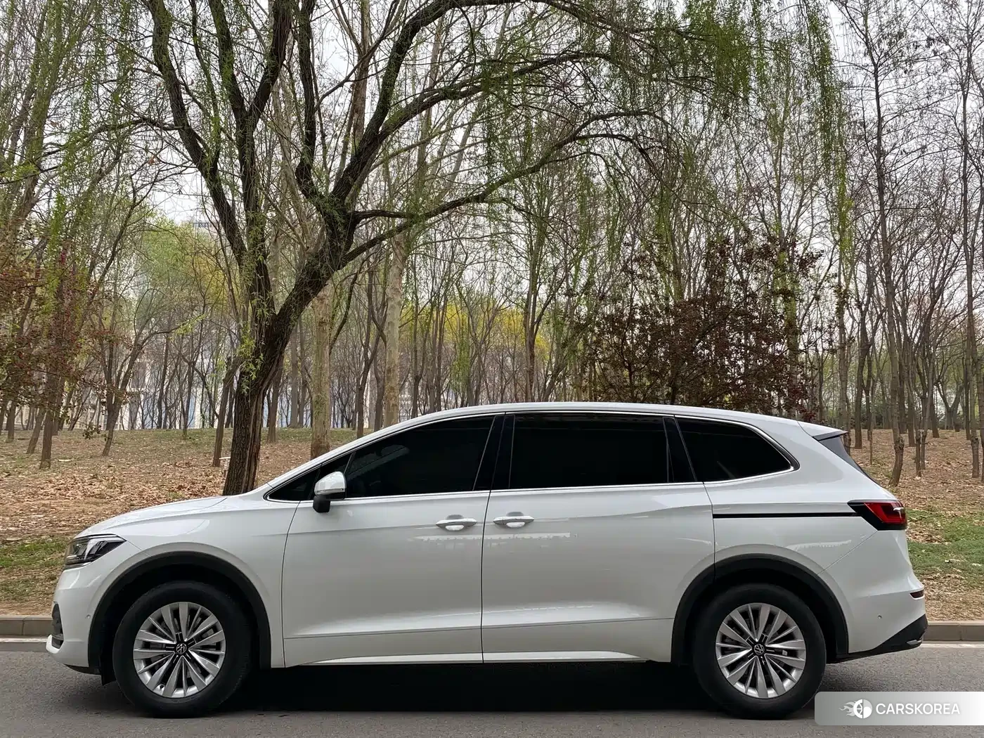 Volkswagen Viloran id 4607153 из Китая 10