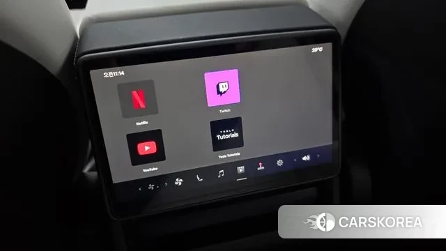 Tesla Model 3 id 3310301 из Кореи 10