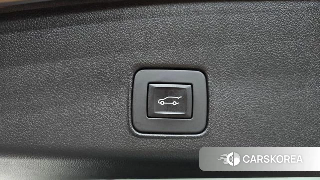 Chevrolet (GM Daewoo) Trailblazer id 4905538 из Кореи 10