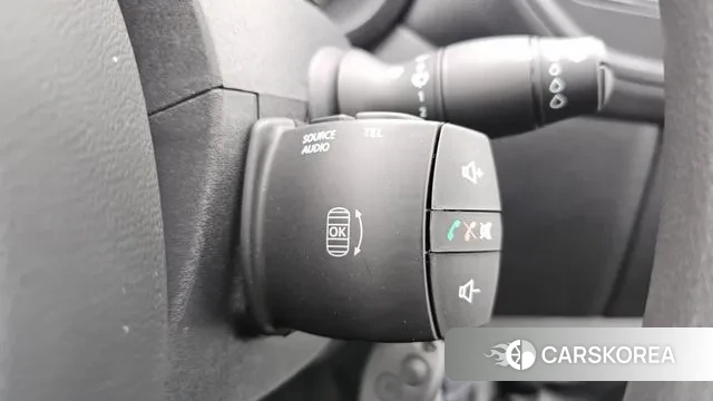 Renault Korea (Samsung) Master id 3512117 из Кореи 10