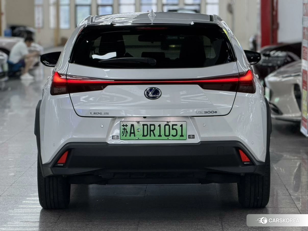 Lexus UX EV id 4498572 из Китая 10