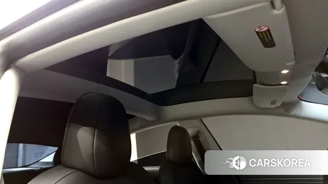 Tesla Model 3 id 3621487 из Кореи 10