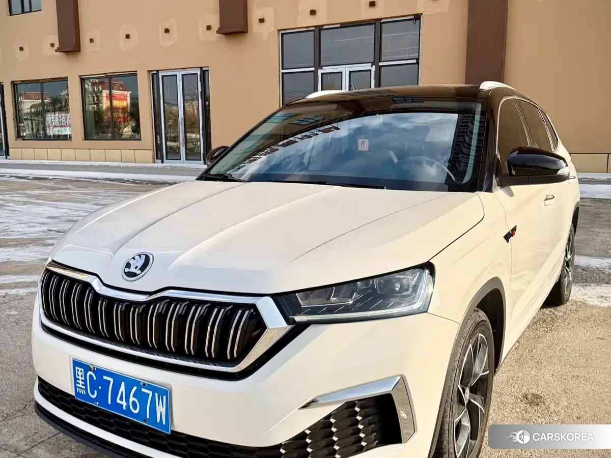 Skoda Komick id 4577555 из Китая 10