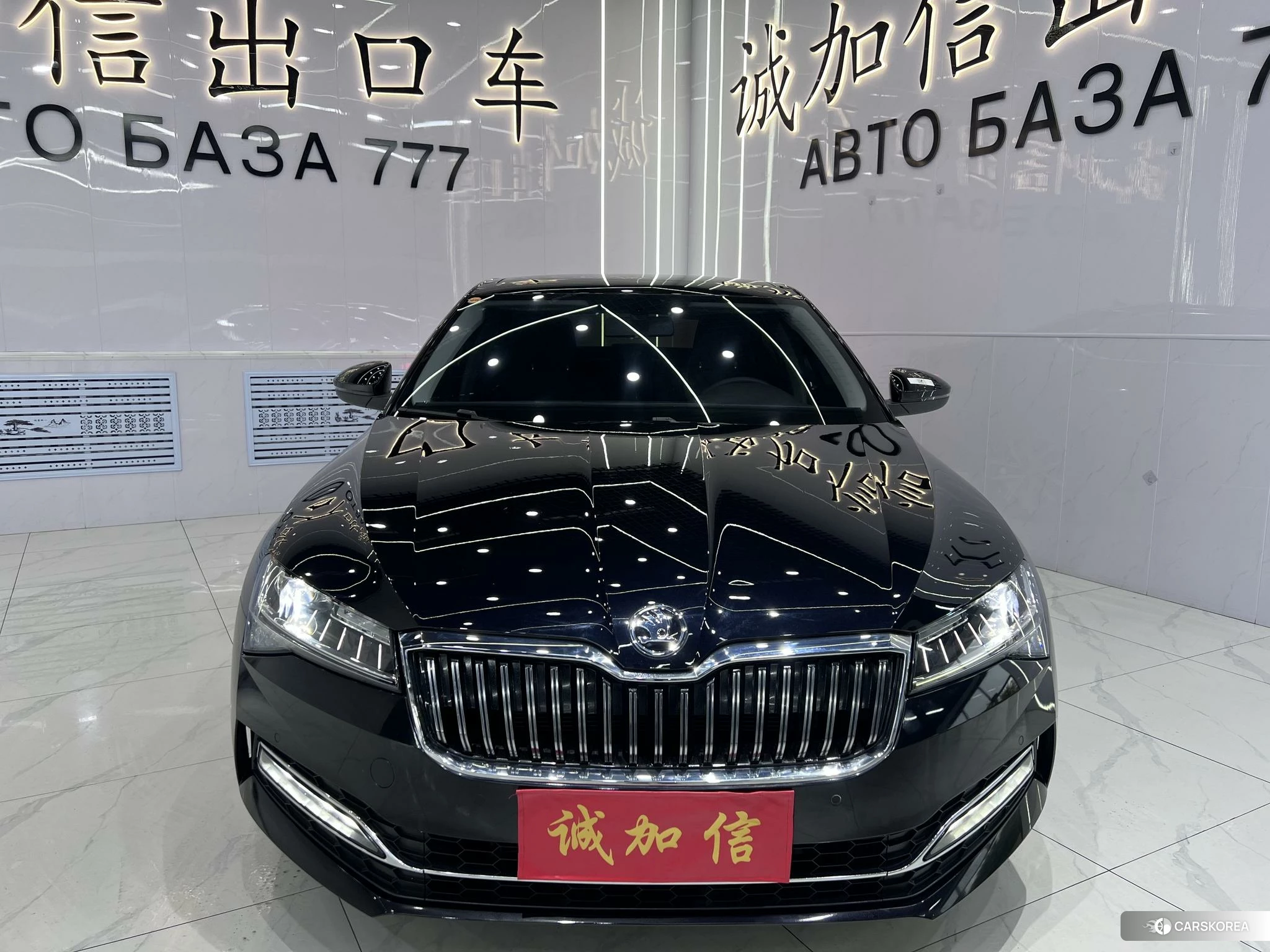 Skoda Speed pie id 4461304 из Китая 10