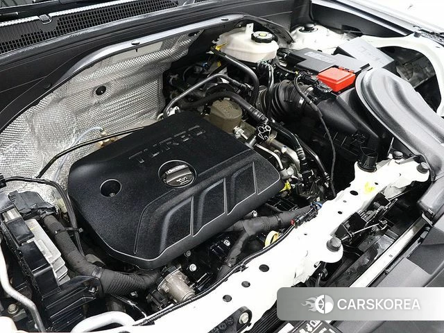 Chevrolet (GM Daewoo) Trailblazer id 3965905 из Кореи 10