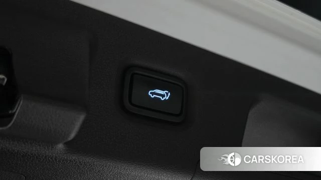 Hyundai Santa Fe TM id 4924004 из Кореи 10