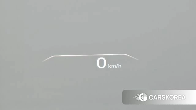 Genesis G80 (RG3) id 3834019 из Кореи 10