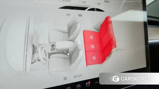 Tesla Model 3 id 3561123 из Кореи 10