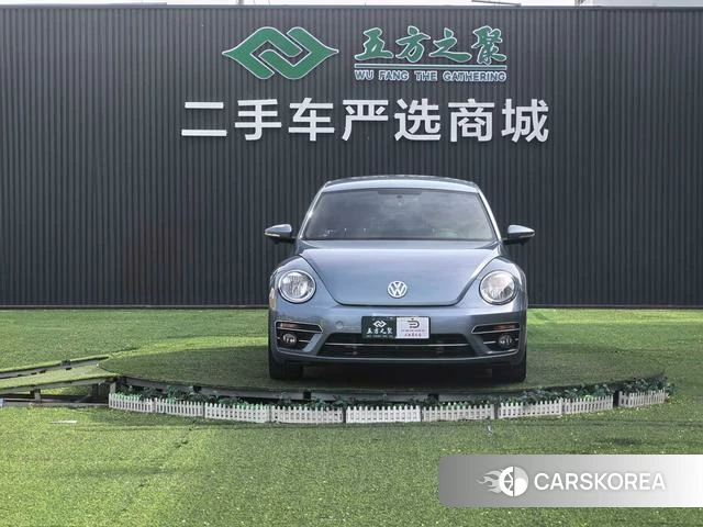 Volkswagen Beetle id 4208647 из Китая 10