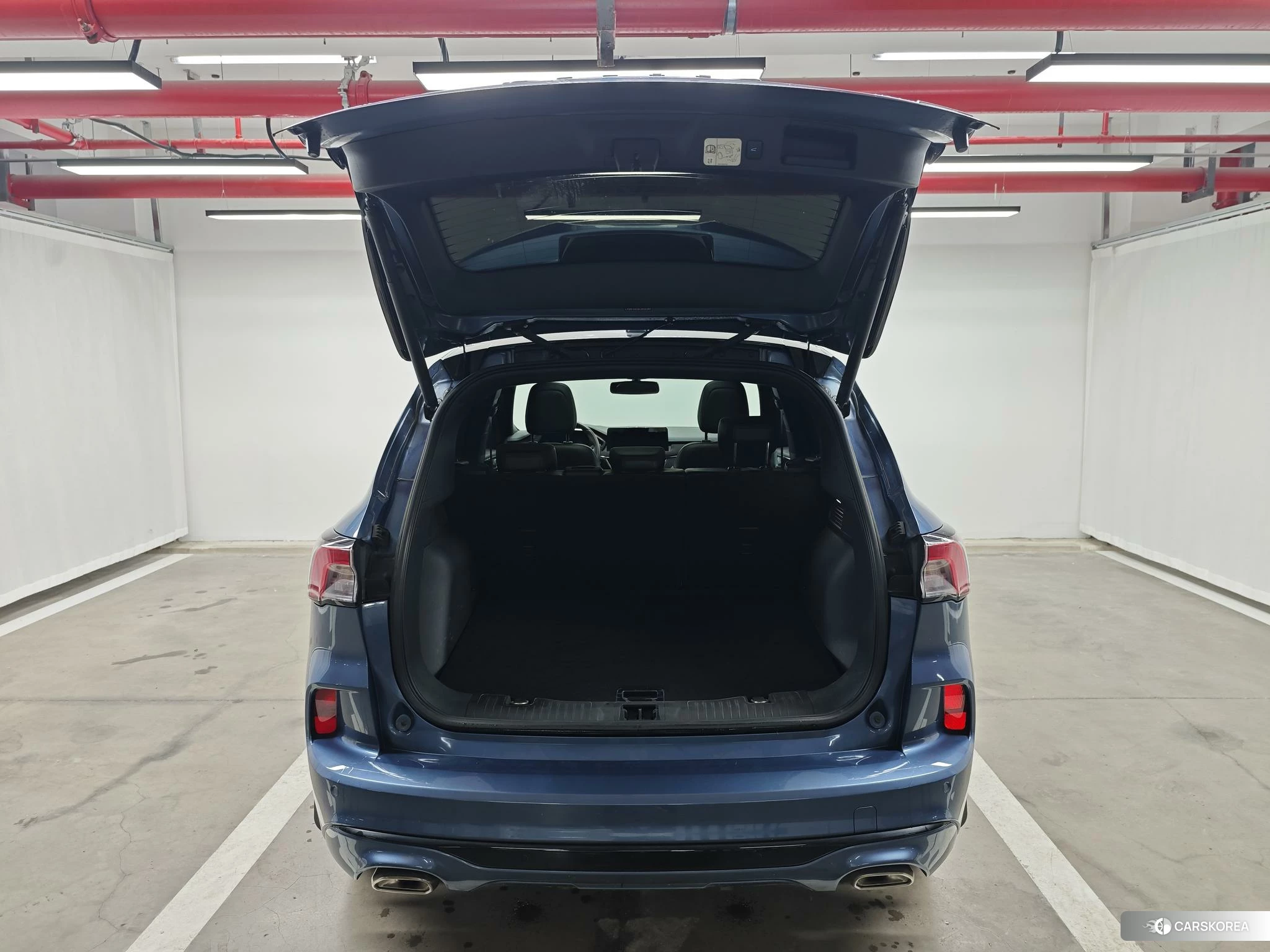 Ford Ruiji id 4479785 из Китая 10
