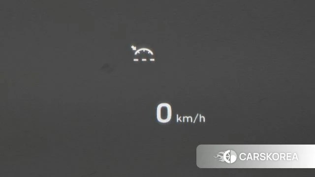 Hyundai Palisade id 4625422 из Кореи 10