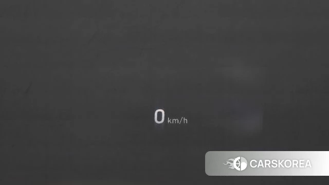 Genesis G80 id 3955935 из Кореи 10