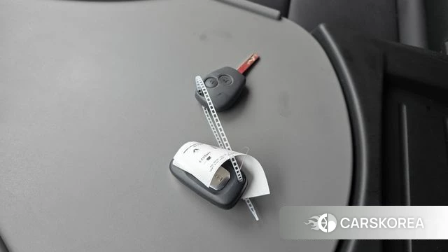 Renault Korea (Samsung) Master id 3909398 из Кореи 10