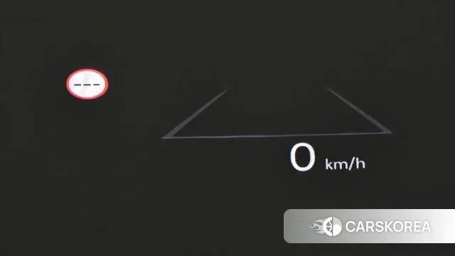 Hyundai Santa Fe (MX5) id 3487022 из Кореи 10