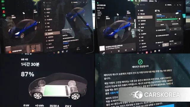 Tesla Model Y id 3716815 из Кореи 10