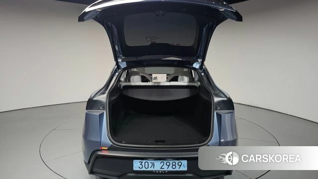 Tesla Model Y id 4710397 из Кореи 10