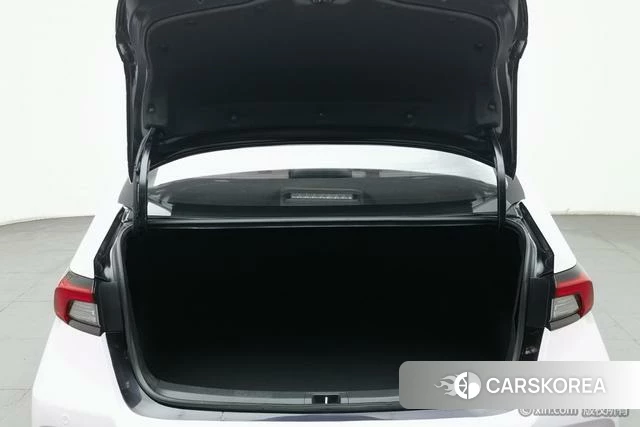 Toyota Asian lion id 4262445 из Китая 10