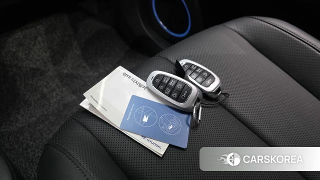 Hyundai Ionic 5 id 4603521 из Кореи 10