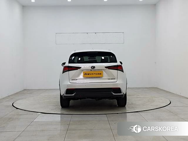 Lexus NX id 4207909 из Китая 10