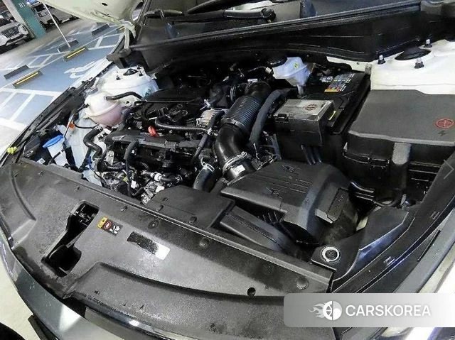 Kia Sportage 5th Generation id 3891629 из Кореи 10