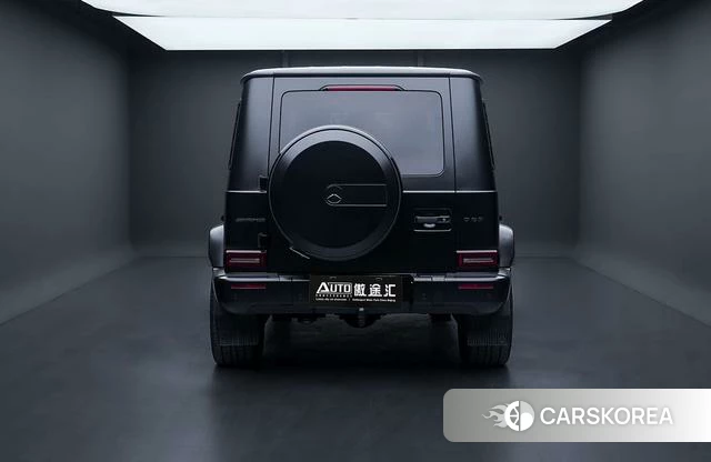 Mercedes-Benz G-class id 4275603 из Китая 10
